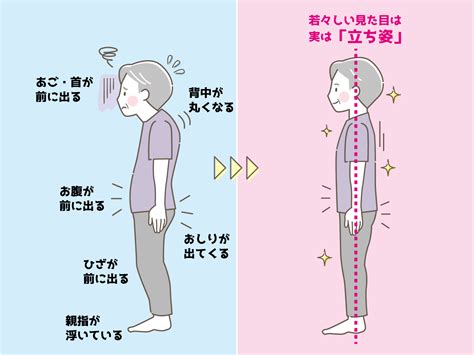 人 姿勢|「正しい姿勢」の立ち方・座り方って？姿勢が良くな。